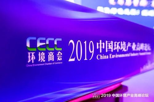 10强中只剩“一根独苗”，环保民企2020年开启反转